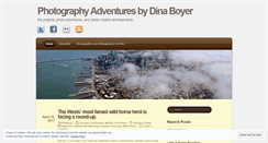Desktop Screenshot of dinaboyerphotography.com